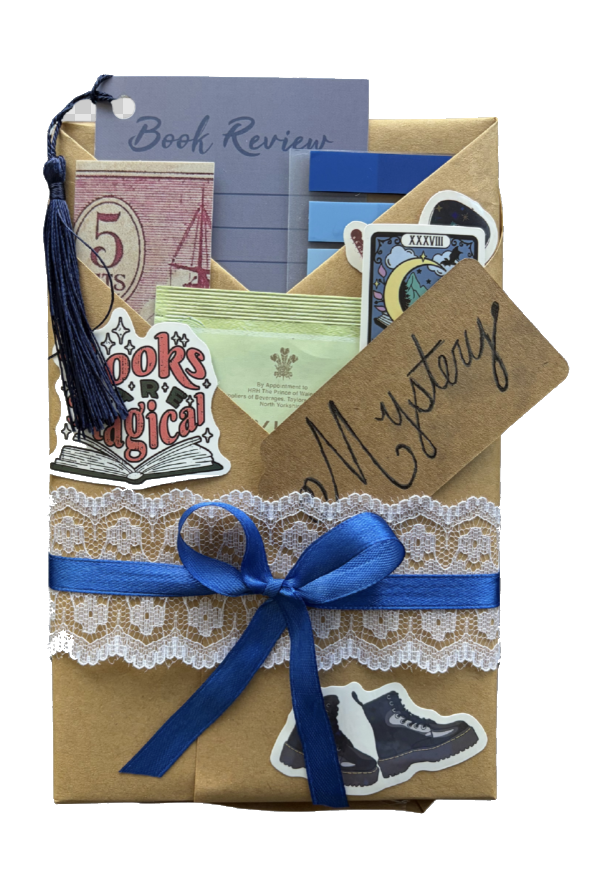 Mystery wrapped book package