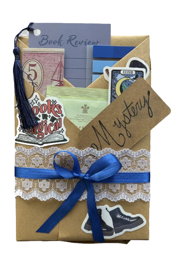 Mystery wrapped book package